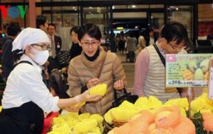 [XKLĐ ĐÀI LOAN] Clip Trồng rau trong nhà kính – sướng như làm nông nghiệp tại  Đài Loan 2023 7