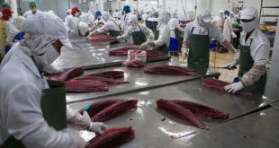 [XKLĐ ĐÀI LOAN] Tuyển 40 nữ thực phẩm nhà máy Đỉnh Thắng Đài Bắc 2023